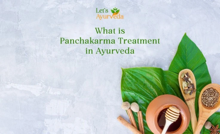 What is Panchakarma Treatment in Ayurveda