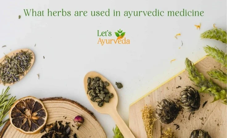 What Herbs are Used in Ayurvedic Medicine?