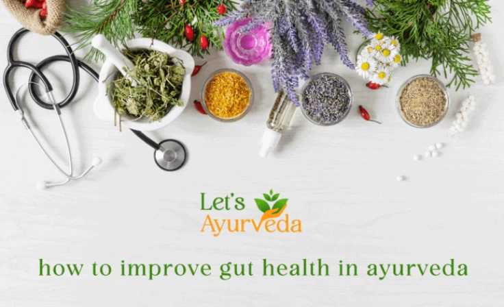 How to Improve Gut Health in Ayurveda