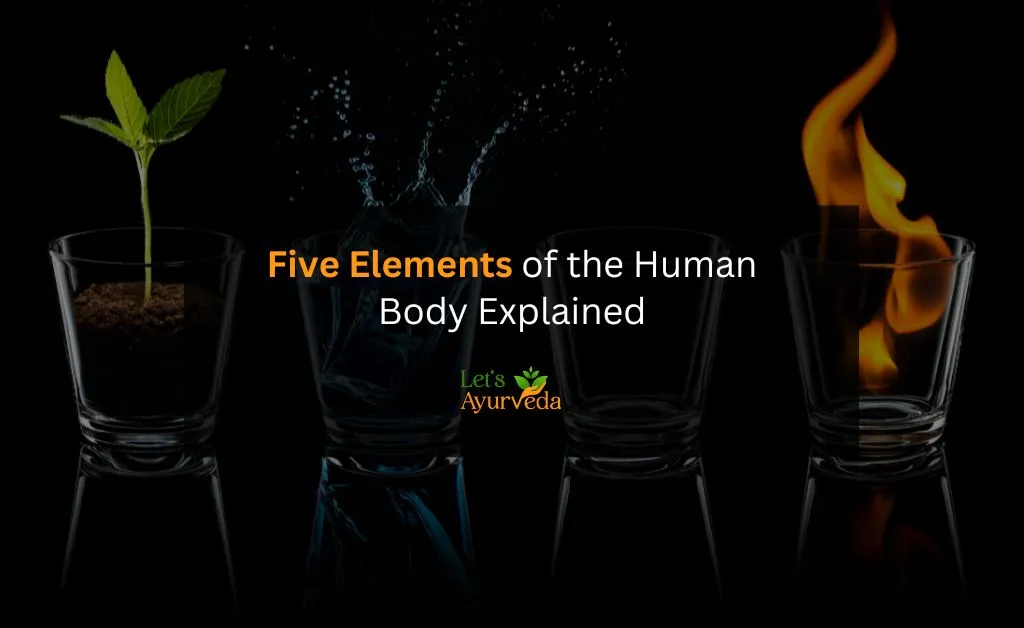 What are the Five Elements That Form the Foundation of the Human Body According To Ayurveda