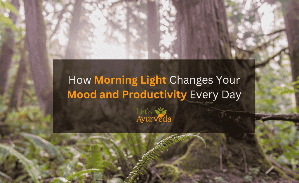 The Impact of Morning Light on Your Mood and Productivity