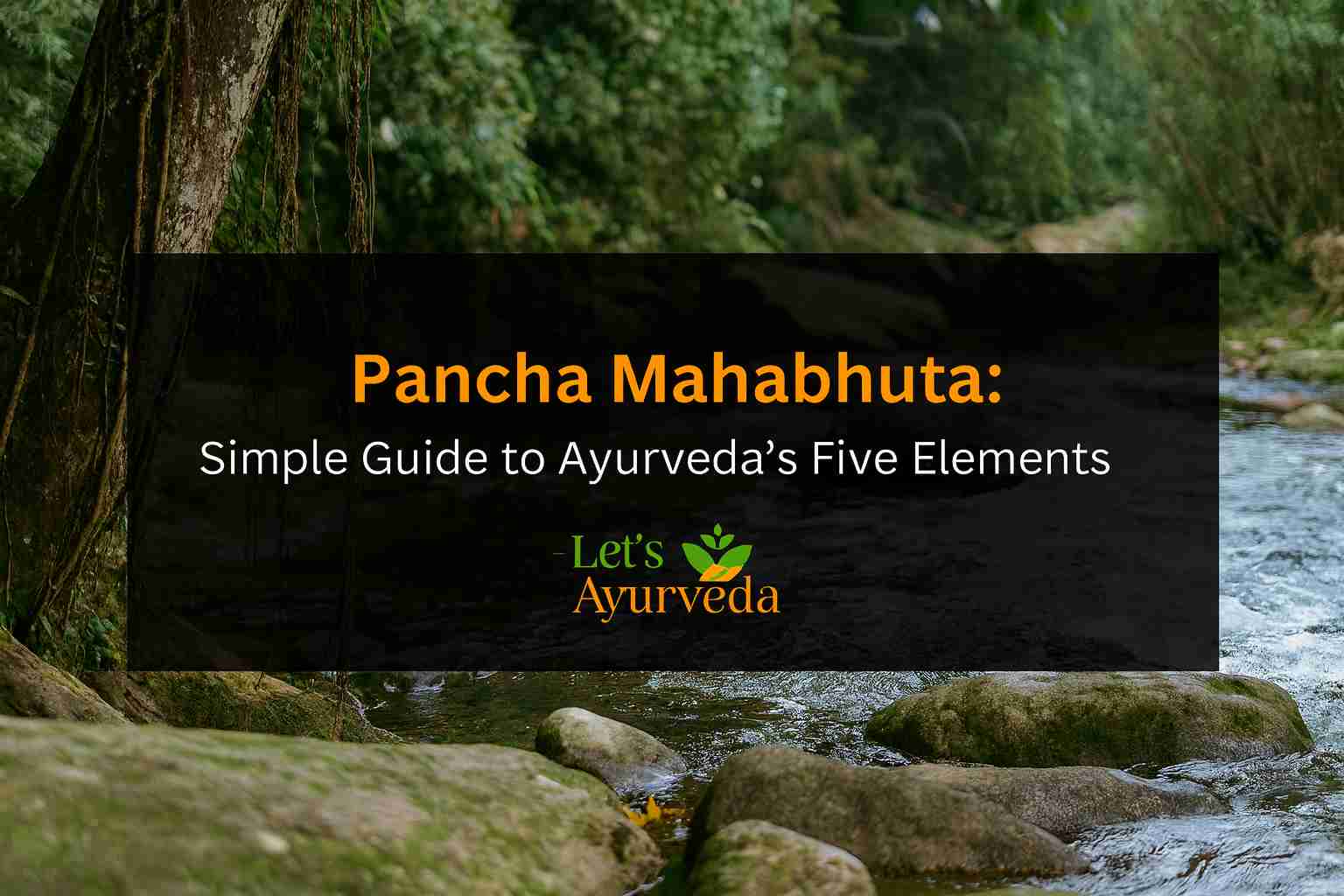 Ayurveda’s 5 Elements Explained: A Beginner-Friendly Guide